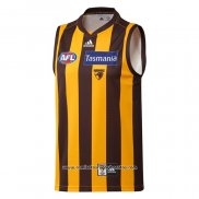 Camiseta Hawthorn Hawks AFL 2021 Local