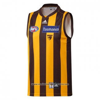 Camiseta Hawthorn Hawks AFL 2021 Local