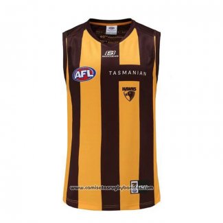 Camiseta Hawthorn Hawks AFL 2023 Local