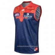 Camiseta Melbourne Demons AFL 2020-2021 Indigena