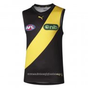 Camiseta Richmond Tigers AFL 2024 Local